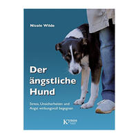 Angst bei Hunden Angst bei Hunden