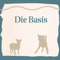 Die Basis