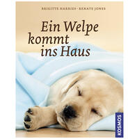 Ein Welpe kommt ins Haus Ein Welpe kommt ins Haus