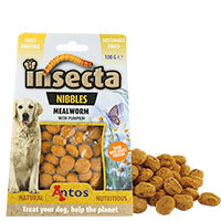 Insecta Nibbles Mealworm (Mehlwurm Krbis)