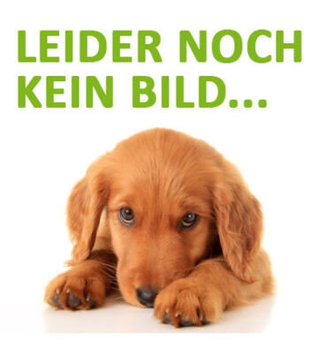 Kiwi & Friends Hunde-Liegekissen
