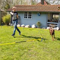 Procyon Longier-Set fr Hunde