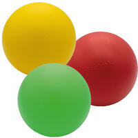 Procyon Treibball