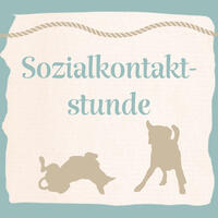 Sozialkontaktstunde