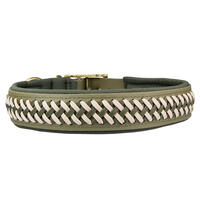 Trendfhrte Hundehalsband BioThane