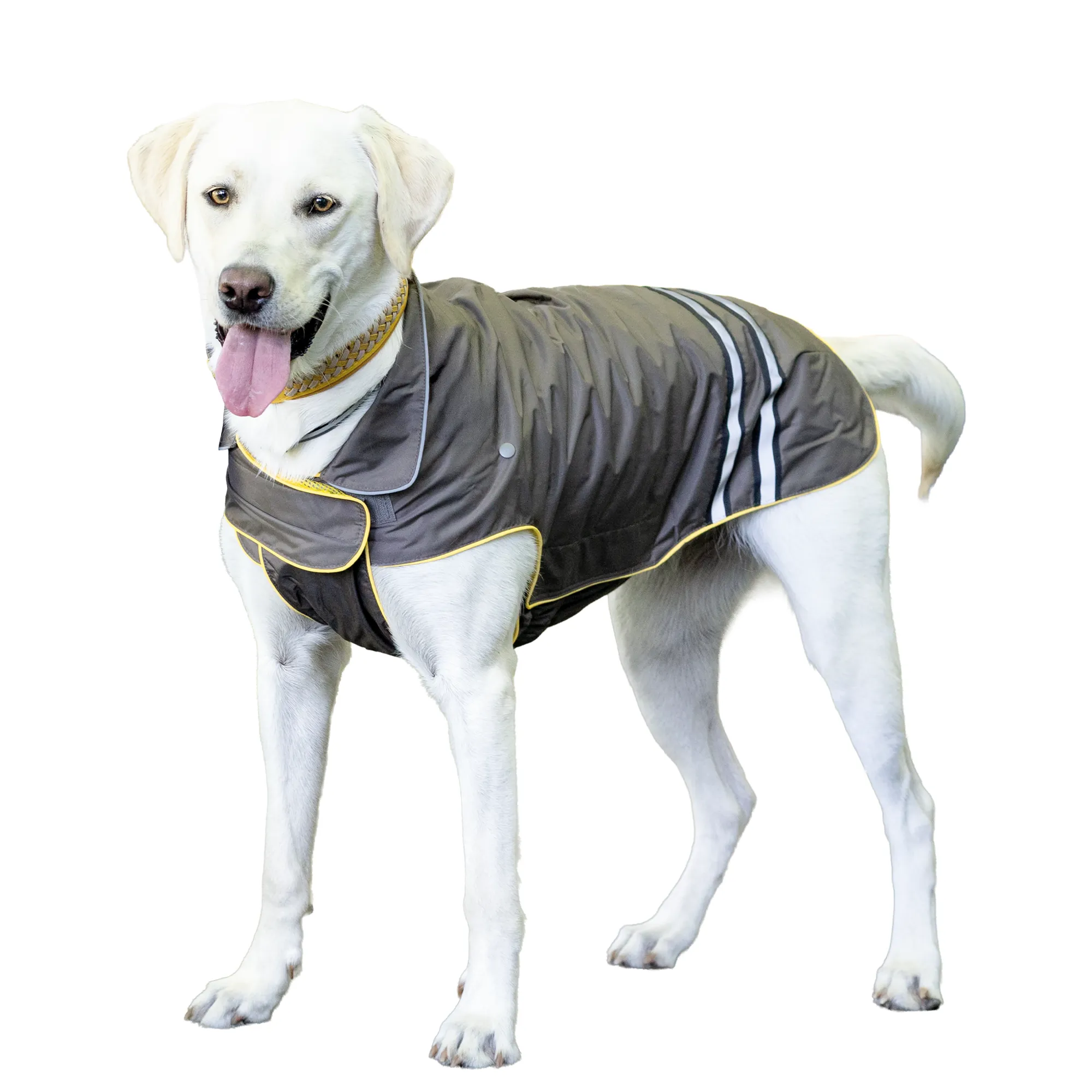 Beeztees Hunde-Regenmantel SEJA