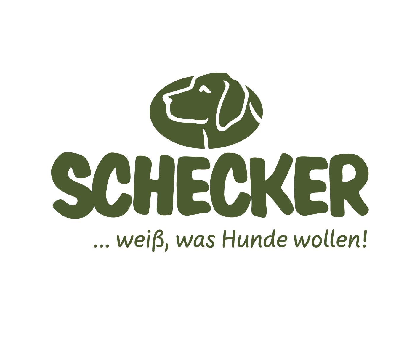 Schecker Logo