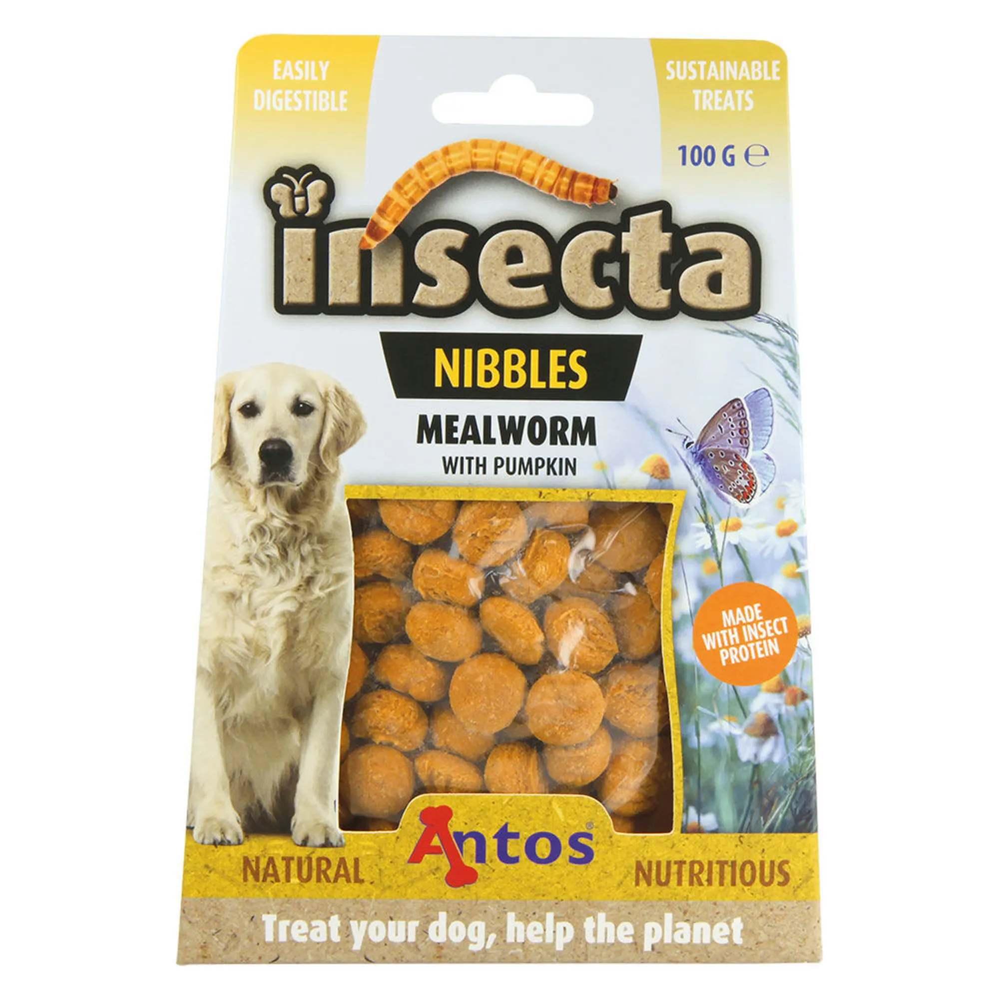 Insecta Nibbles Mealworm (Mehlwurm Kürbis) Insecta Nibbles Mealworm (Mehlwurm Kürbis)