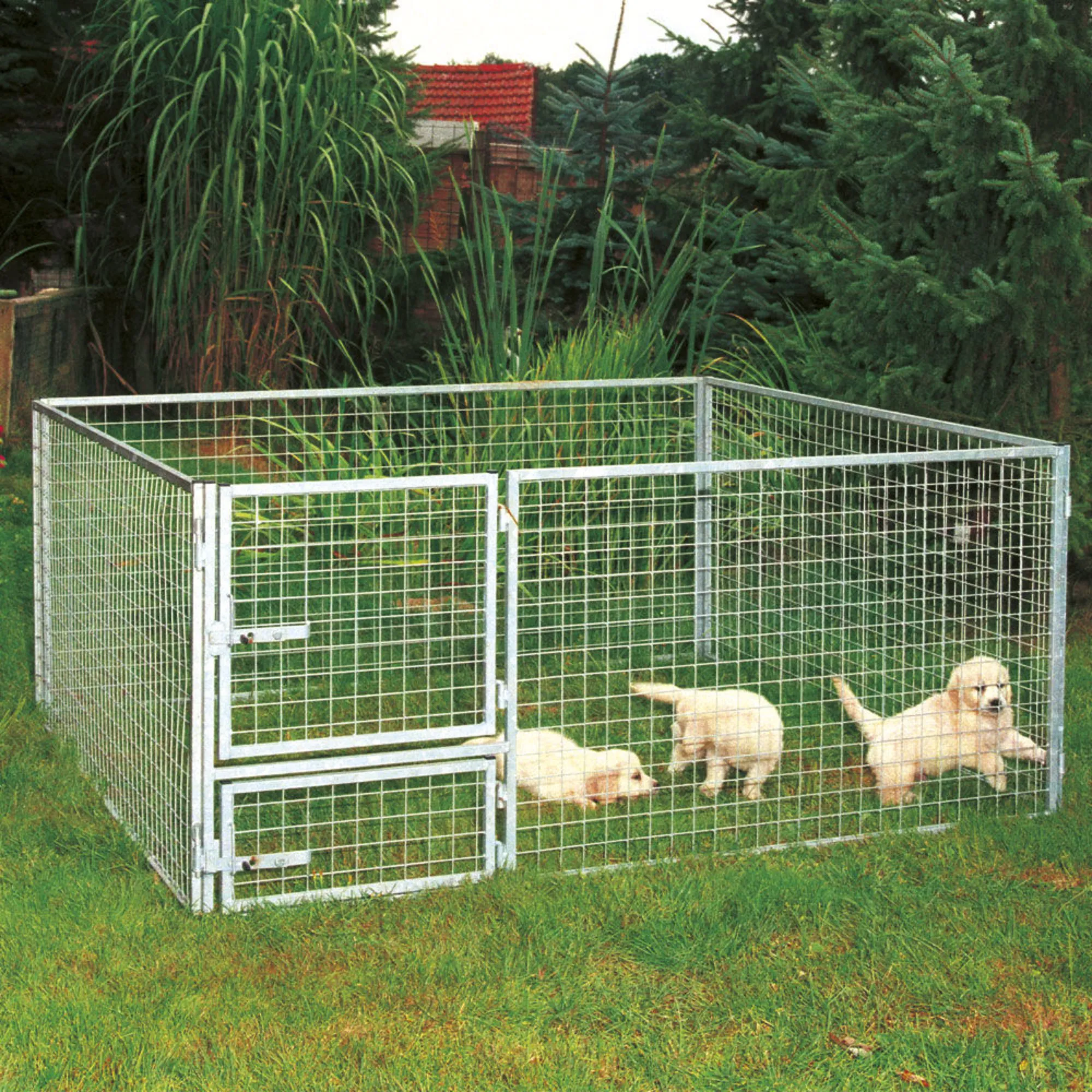 KOMPLETTANGEBOT: Welpenzwinger 2 x 2 m