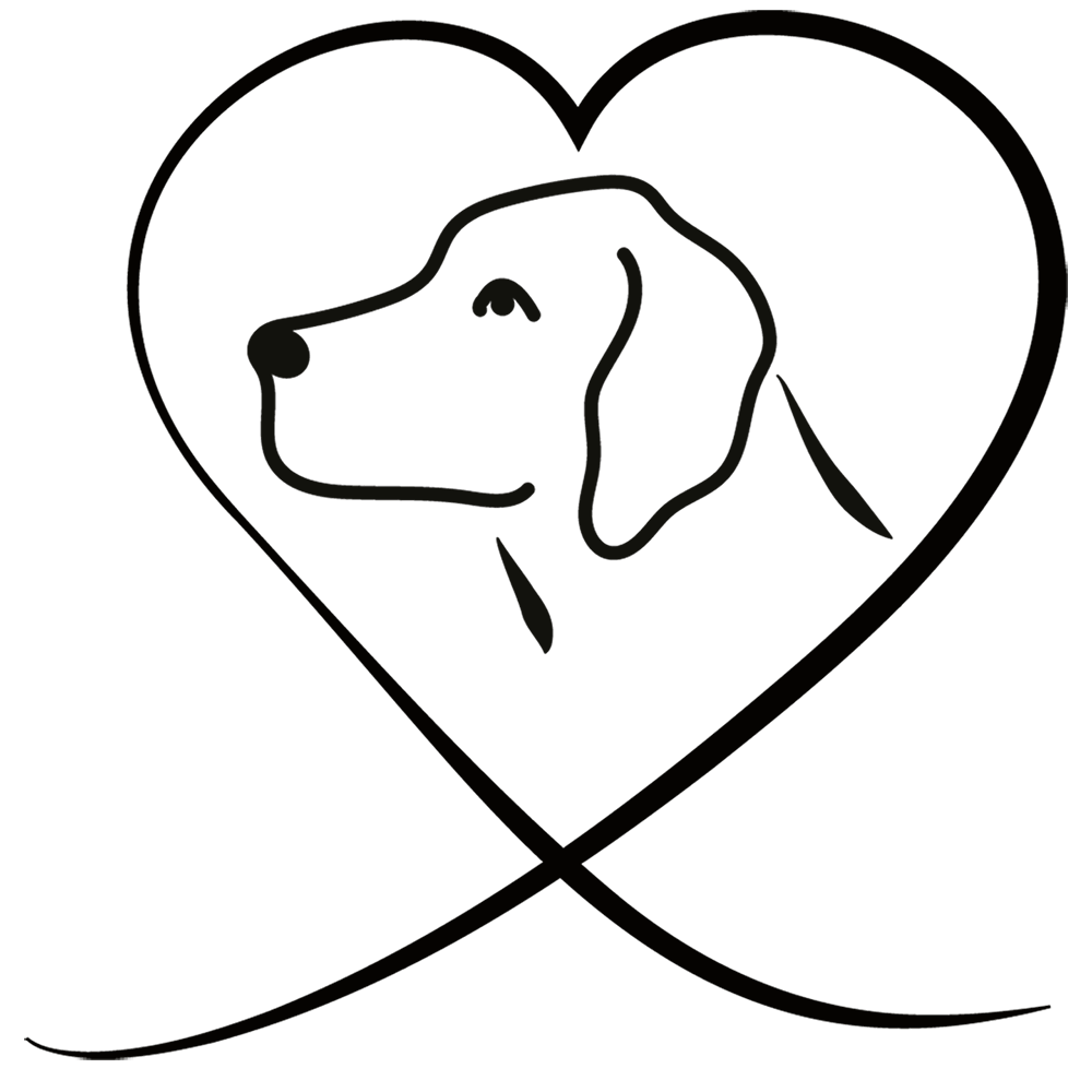 Trendfährte Logo