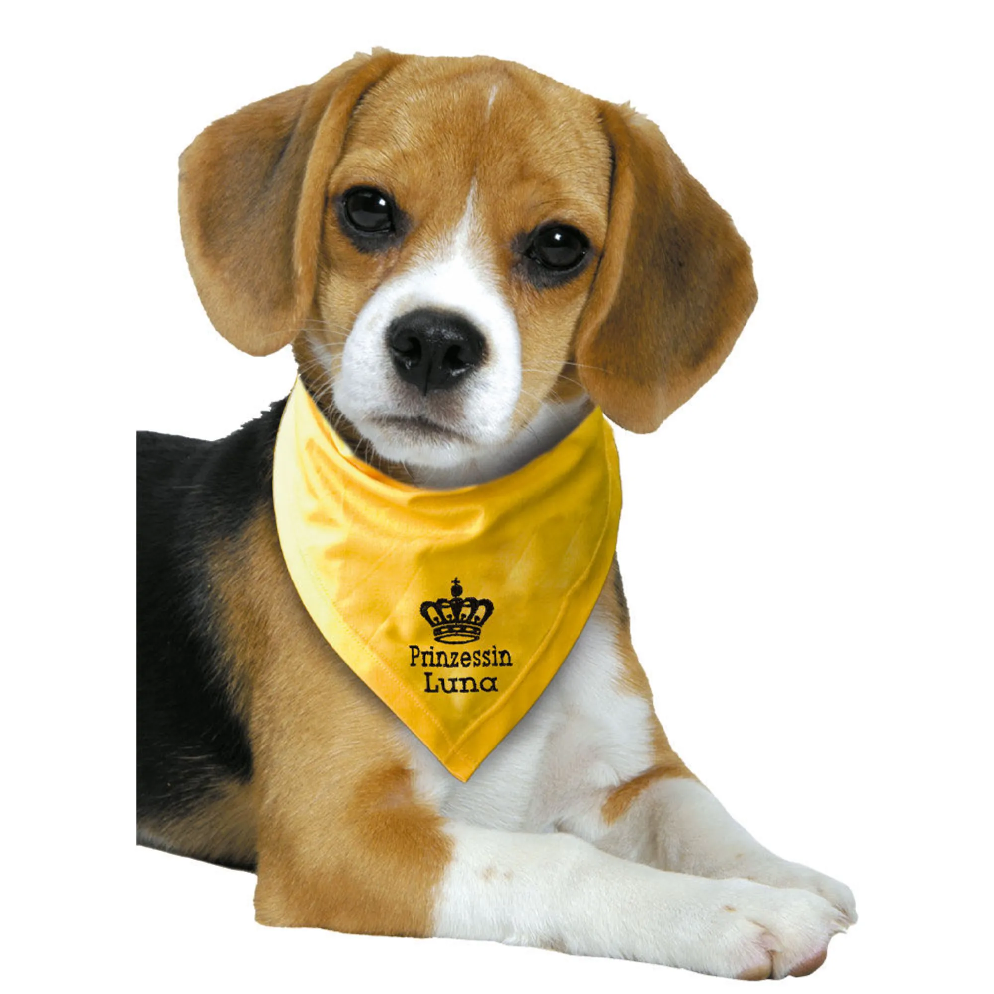 Besticktes Halstuch, Prinzessin + Name