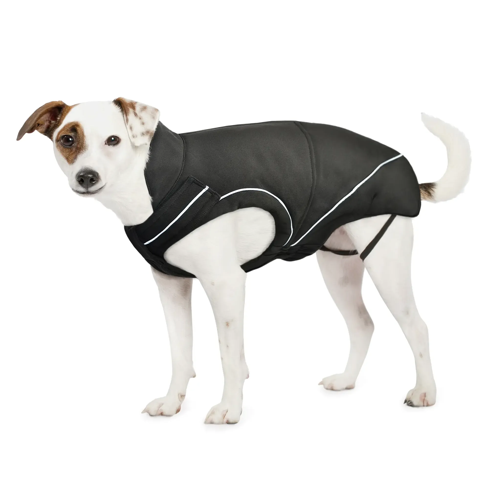 DogBite Hunde-Softshelljacke, Farbe: schwarz 30cm